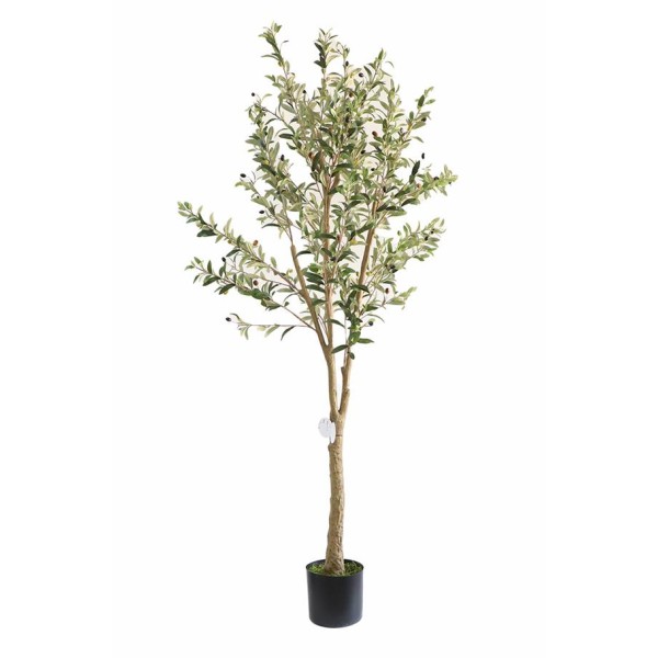 OLIVE TREE NP405_175  ΥΨΟΣ 175cm NewPlan