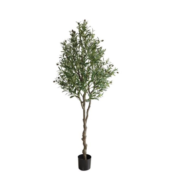 OLIVE TREE NP415_122 ΥΨΟΣ 122cm NewPlan